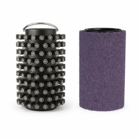 Wire and Scrubbing Pad Head Brush